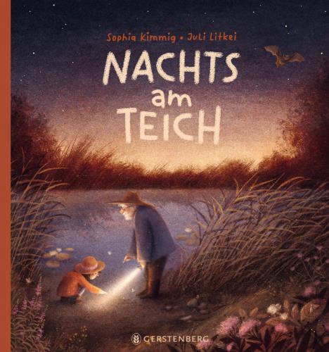 Nachts am Teich