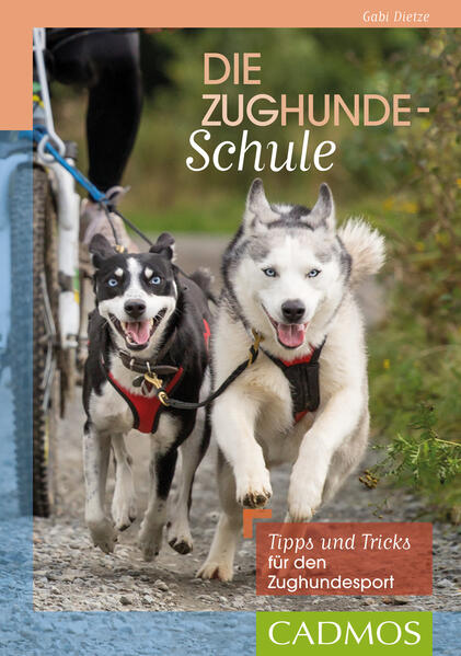 Cover des Mediums