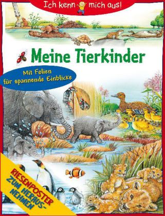 Cover des Mediums
