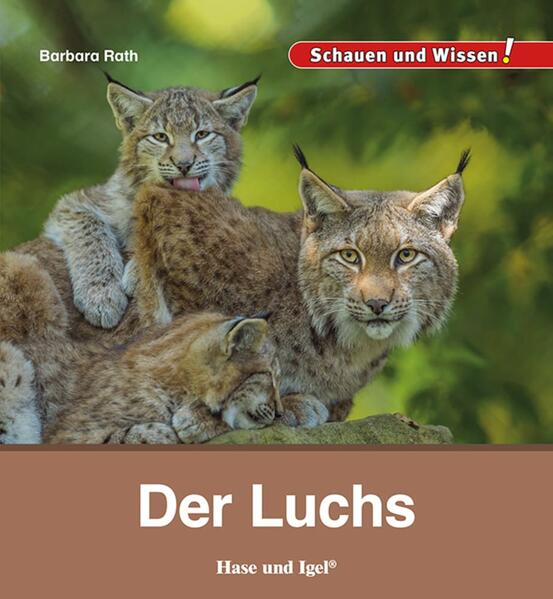 Cover des Mediums