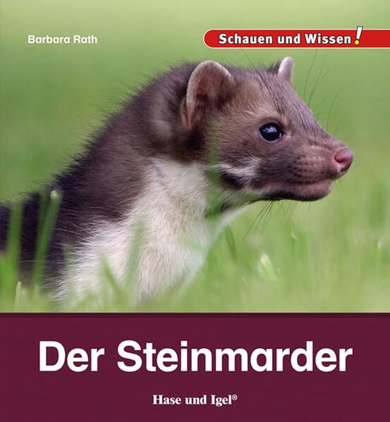 Cover des Mediums