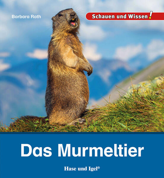 Cover des Mediums
