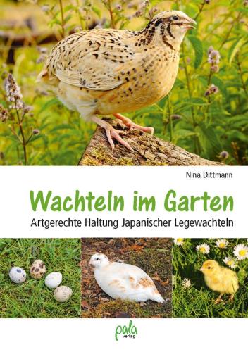 Cover des Mediums