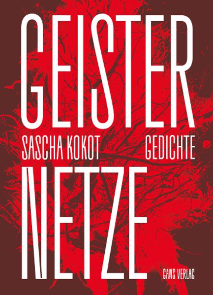 Geisternetze