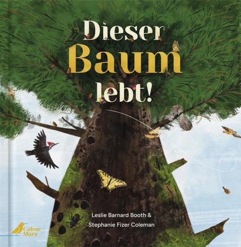 Cover des Mediums