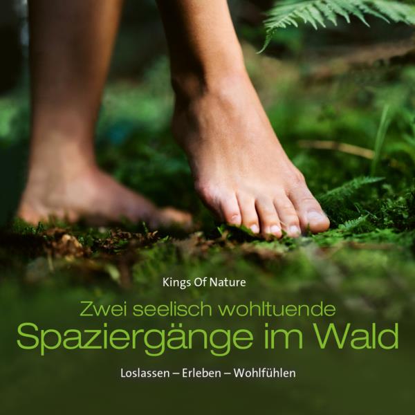 Zwei seelisch wohltuende Spaziergänge im Wald