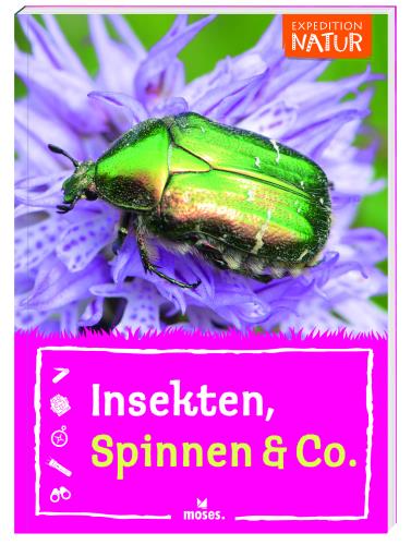 Insekten, Spinnen & Co.