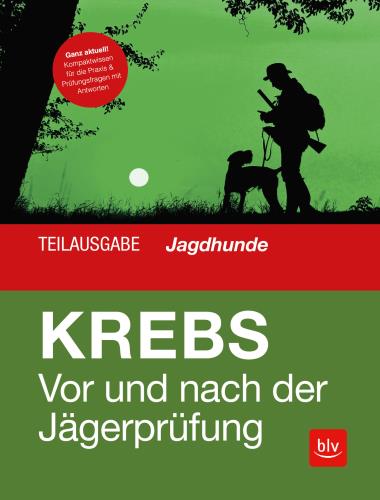 Cover des Mediums
