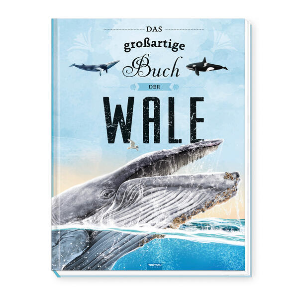 Das großartige Buch der Wale