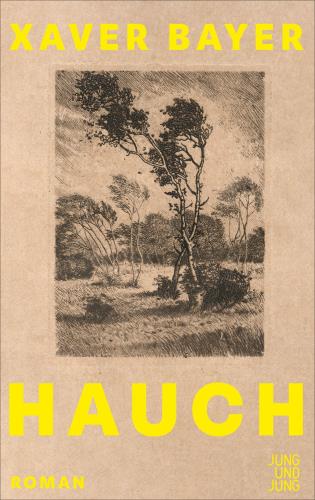 Hauch